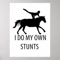 I Do Own Stunts Vaulting Horseriding