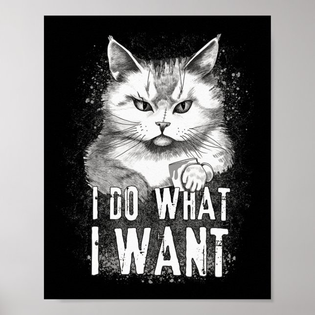 I Do What I Want Cat Halloween Funny Cat Halloween Poster (Front)
