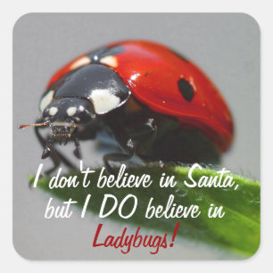 I Don't Believe in Santa - Ladybug Stickers