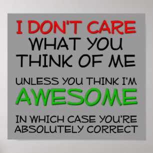 I Don't Care, I'm Awesome!  Funny Poster Sign