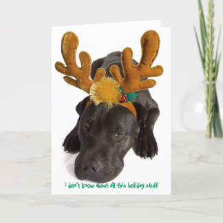 i don't know about all this holiday stuff card
