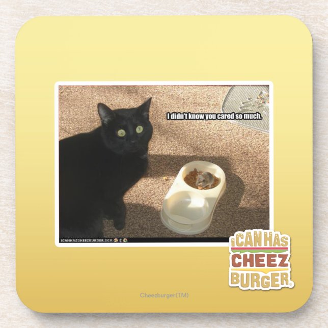 I don't know you cared coaster (Front)