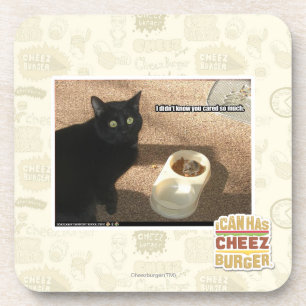 I don't know you cared coaster
