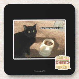 I don't know you cared coaster