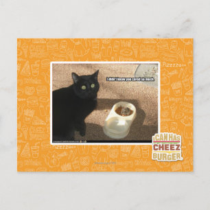 I don't know you cared postcard