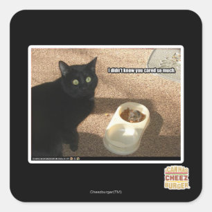 I don't know you cared square sticker