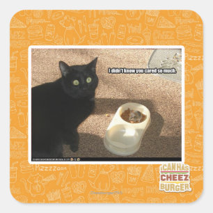 I don't know you cared square sticker