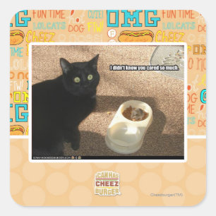 I don't know you cared square sticker