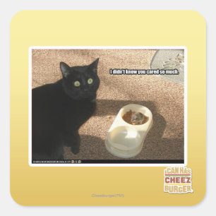 I don't know you cared square sticker