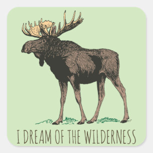 I Dream Of The Wilderness Moose Square Sticker