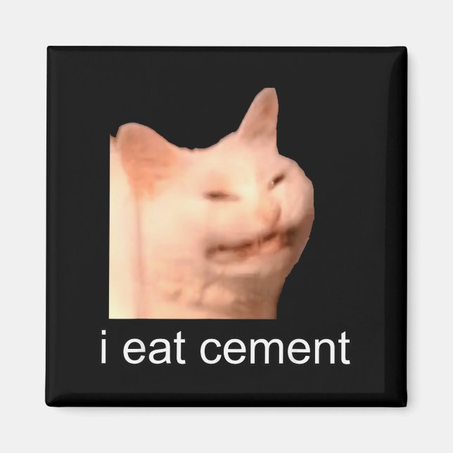 I Eat Cement Cursed Cat Funny Oddly Specific Meme  Magnet (Front)