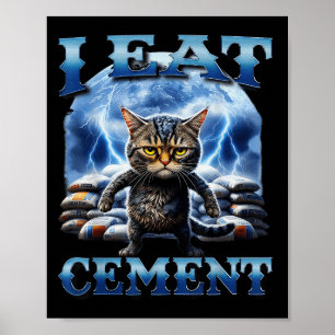 I Eat Cement Cursed Cat Funny Oddly Specific Meme  Poster