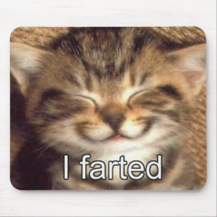 I farted kitten mousepad