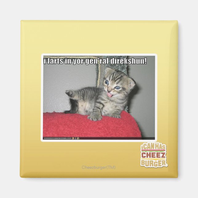 I farts in yor gen'ral direkshun magnet (Front)