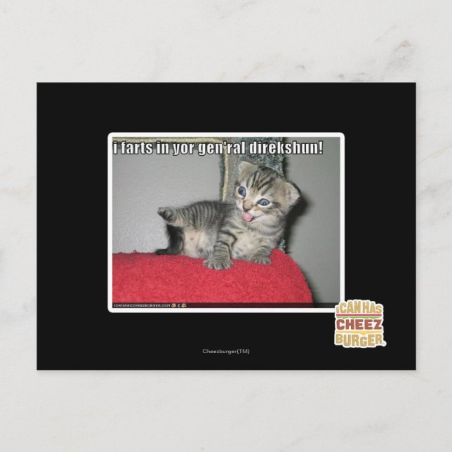 I farts in yor gen'ral direkshun postcard (Front)