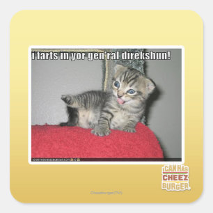 I farts in yor gen'ral direkshun square sticker