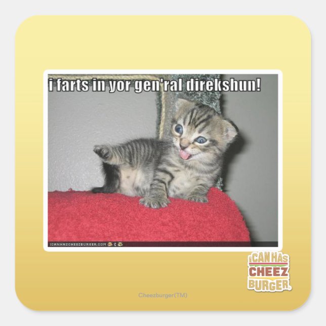 I farts in yor gen'ral direkshun square sticker (Front)