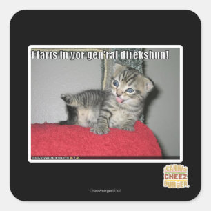 I farts in yor gen'ral direkshun square sticker