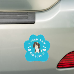 I Feed Raw and Love It, Tri Coloured Cavalier    Car Magnet
