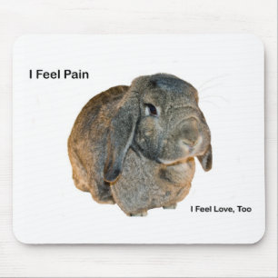 I Feel Pain Mouse Mat