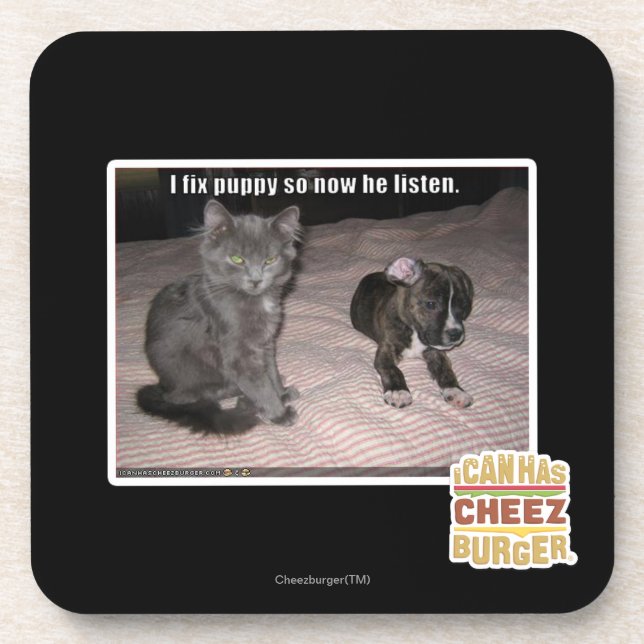 I fix puppy coaster (Front)