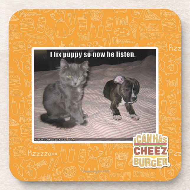 I fix puppy coaster (Front)