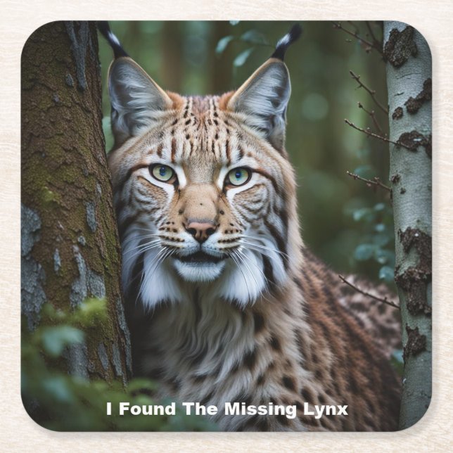 I Found The Missing Lynx Coasters (Front)