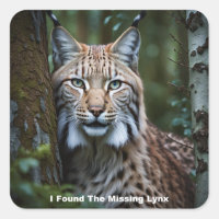 I Found The Missing Lynx Stickers