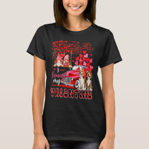 I Found Valentine Two Cute Beagles Couple Gnomes P T-Shirt
