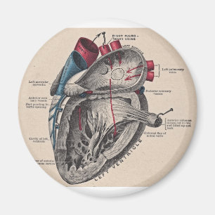 I give you my heart magnet