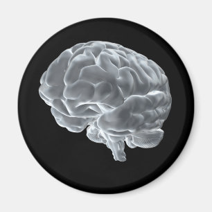 I got brains! magnet