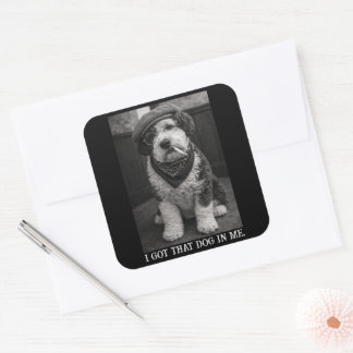 I Got That Dog In Me Funny Sheepadoodle Photo Square Sticker