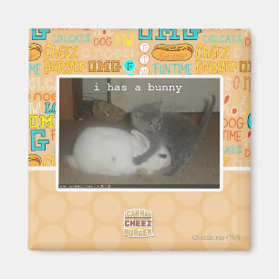 I has a bunny magnet
