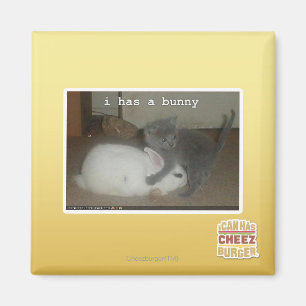 I has a bunny magnet