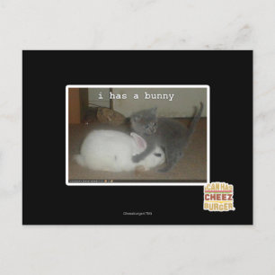 I has a bunny postcard