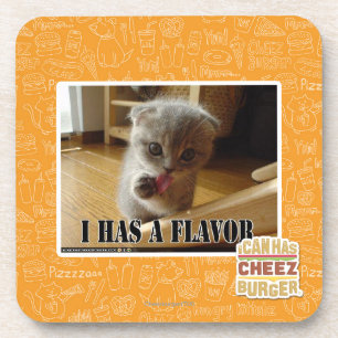 I has a flavour coaster