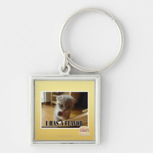 I has a flavour key ring