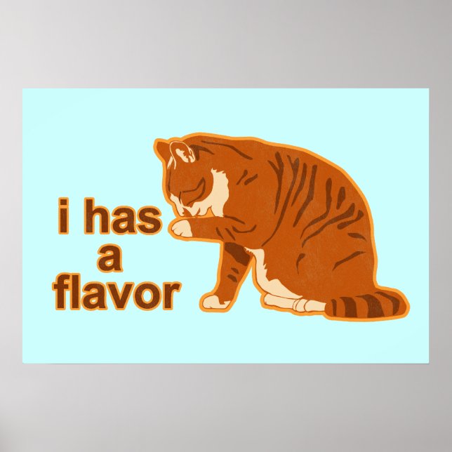 I has a flavour, Lol Cat Poster (Front)