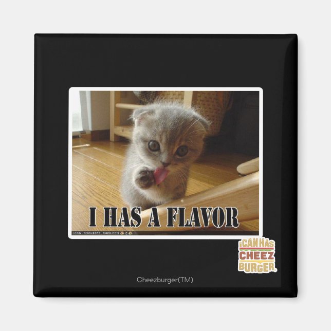 I has a flavour magnet (Front)