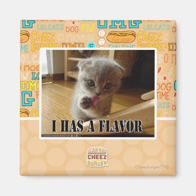 I has a flavour magnet (Front)