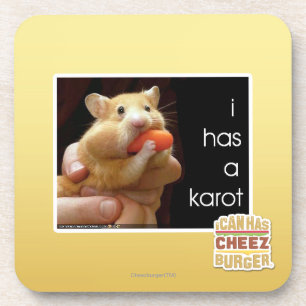I has a karot coaster
