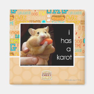 I has a karot magnet
