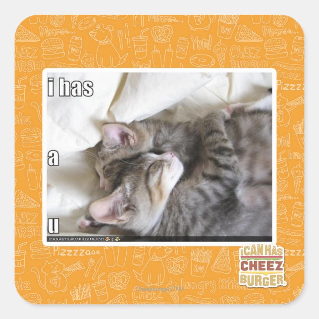 I has a u square sticker (Front)