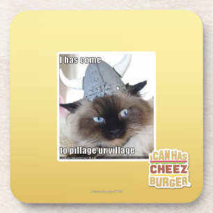 I has come to pillage ur village coaster