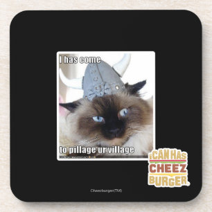 I has come to pillage ur village coaster