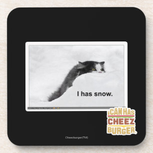 I has snow. coaster