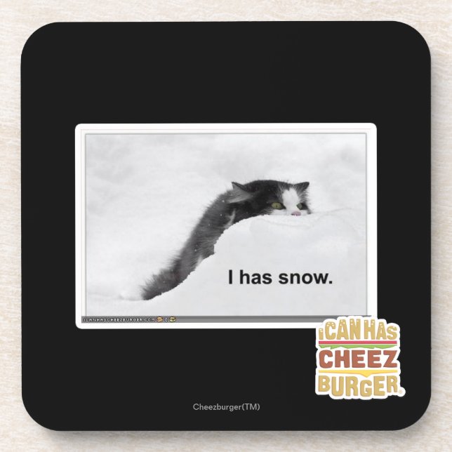 I has snow. coaster (Front)