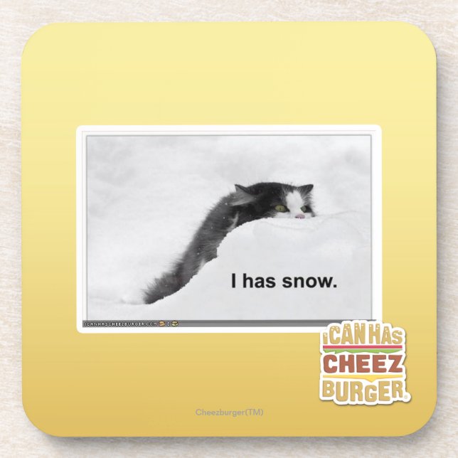I has snow. coaster (Front)