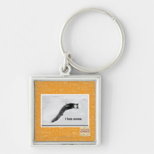 I has snow. key ring