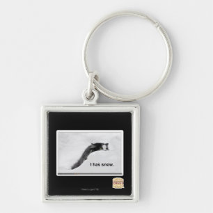 I has snow. key ring